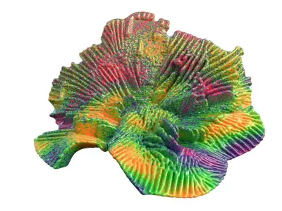 Coral reef collection 11-20   Low-poly 3D model