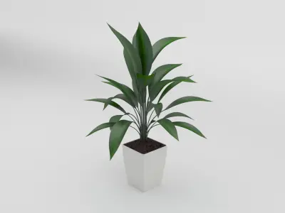 Green Potted Plant 3d Model Free 3D model