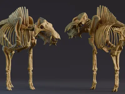 Realistic Mammals Fossil - Entelodont Low-poly 3D model