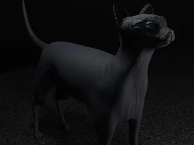 Egyptian Sphynx Cat  LowPoly GameReady Low-poly 3D model