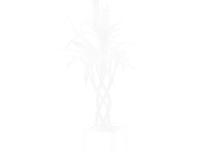  Bamboo Trellis Plant Model 