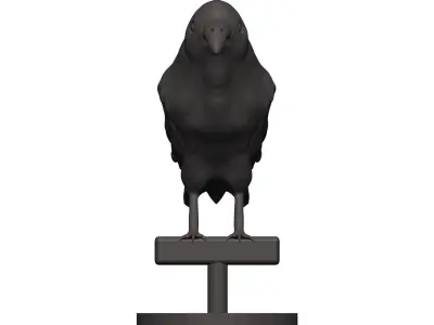 Finch crow statue 3D model