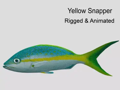 Yellow Snapper Low-poly 3D model