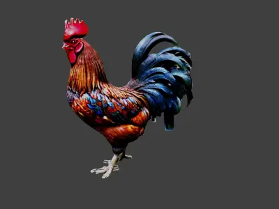 Rooster Animal Low-poly 3D model