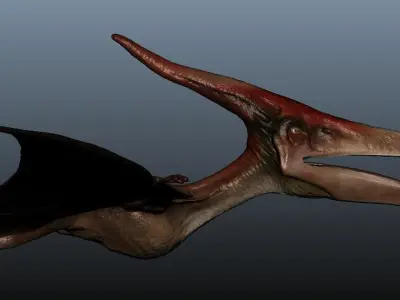 Pteranodon dinosaur flying in sky 3D model