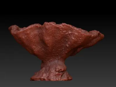 Sea Coral Scan 1 3D model