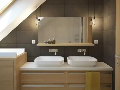 Apartment bathroom with two sinks and skylight 3D model
