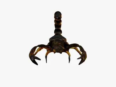 Scorpion Free 3D model