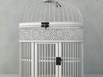 White Metal Bird Cage by ZARA HOME 3D model