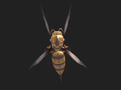 animated bee Low-poly 3D model