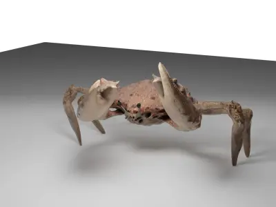 Animated crab 3D model