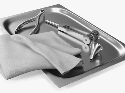 ENT Diagnostic Instrument Tray Stainless 3D model