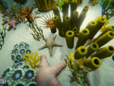 Realistic corals - underwater props 3D model