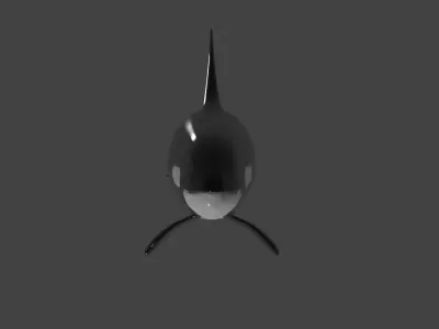 Killer Whale -Orca- rigged and ready for animating 3D Model Low-poly 3D model