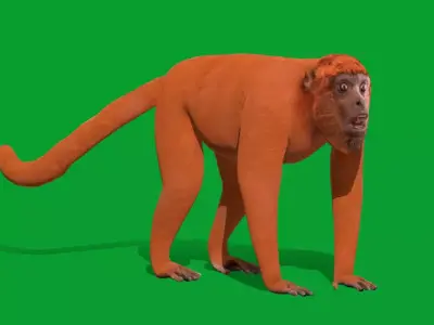 Howler Monkey Free 3D model