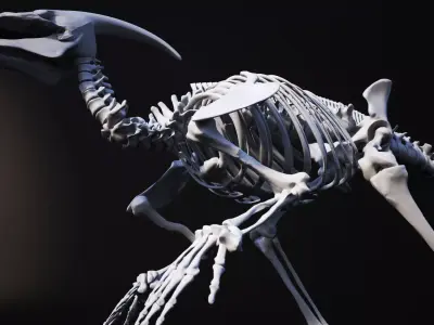 Dinosaur bone 3D model 3D model