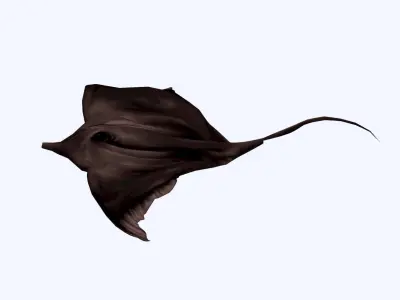 Stingray Low-poly 3D model