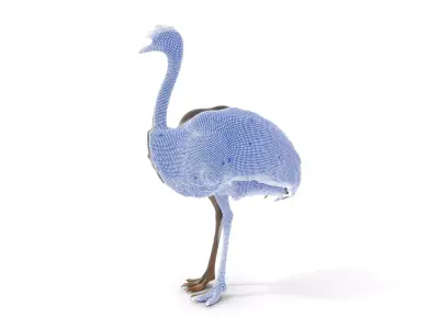 Elegant Ostrich Brown model pack Low-poly 3D model