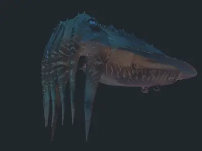 Cuttlefish jellyfish Low-poly 3D model