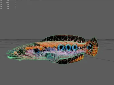 Snakehead Low-poly 3D model