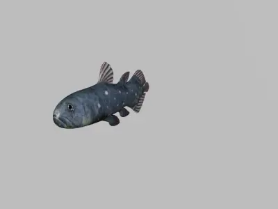 Coelacanth Fish Low-poly 3D model