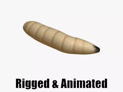animated maggot 3D model