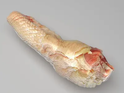 Chicken Neck 3D model