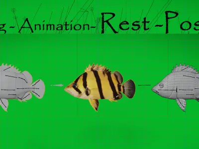 Mekong Tiger Perch Fish Low-poly 3D model