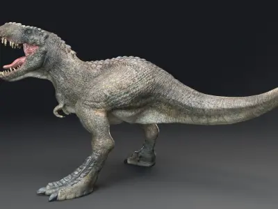 Dinosaur Theropod Rex Model Low-poly 3D model