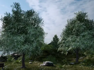 Nature Assets - Bird Cherry Tree Low-poly 3D model