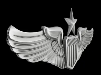 Senior Pilot USAF Wings Badge 3D model