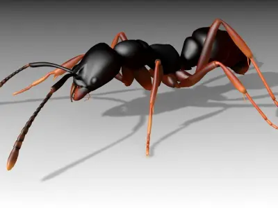 Asian needle ant Low-poly 3D model