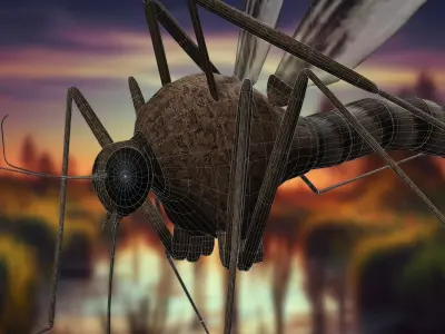 Whisper Wing Silent Hunter free mustique Low-poly 3D model