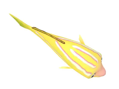 Bluestripe Snapper Animated Fish  Low-poly 3D model