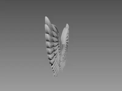 Wings relief 3D model