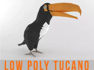Tucano Bird Low Poly Tropical Toucan Animal Lowpoly  Low-poly 3D model
