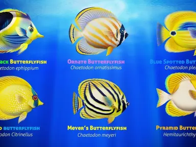 Cartoon Butterflyfish  Low-poly 3D model