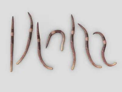 Earthworm set of wooden tusks Low-poly 3D model