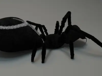 Spider 3D model