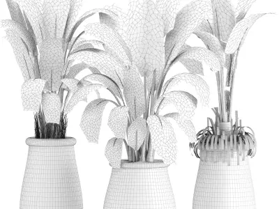 indoor plant set019 3D model