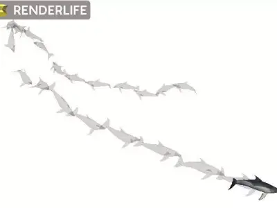 Dolphin with animation 3D model