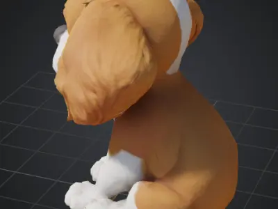 Dog Model - Cavalier King Charles Spaniel 3D model