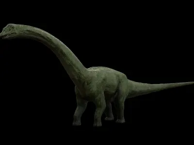 Sauropoda - Long Neck Dinosaur Low-poly 3D model