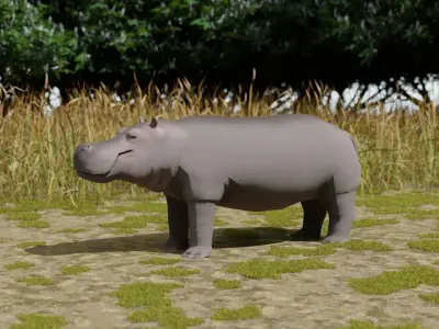 Hippo hippopotamus Low-poly 3D model