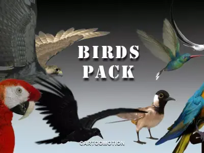 Animated Birds Low-poly 3D model