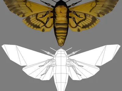 Low-Poly Hand-Painted Death Head HawkMoth Low-poly 3D model