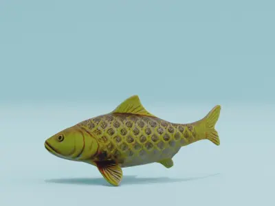 Golden Koi Fish Free low-poly 3D model
