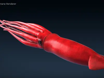 Giant Squid - 3DS Max Octane - FBX - Zbrush Low-poly 3D model