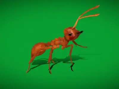 Leafcutter Ant Insect Low-poly 3D model