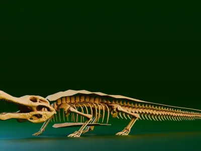 Realistic Ancient Reptilians Fossil - Sarcosuchus Low-poly 3D model